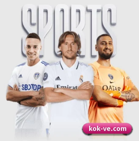 KOK体育 APP